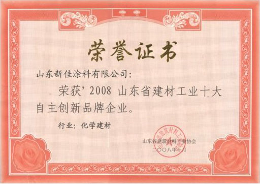 2008年山东省建材工业十大自主创新品牌企业